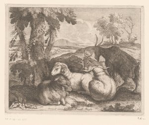Moutons et chèvres sous un arbre - Charles II Errard (attributed to)