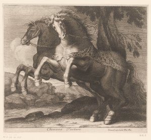 Chevaux cabrés - Charles II Errard (attributed to)