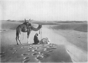 La prière du coucher de soleil dans le désert, vers 1913