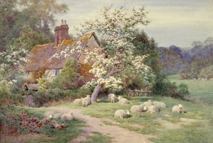 Moutons devant un cottage au printemps