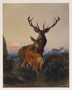 Un cerf avec des biches dans un paysage boisé au coucher du soleil, 1865 - Charles Jones