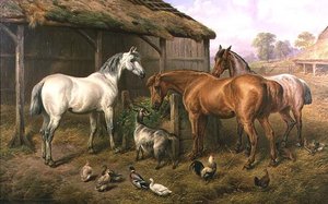 Amis de la ferme