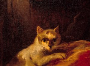Mademoiselle de Charolais (détail représentant le chat) - Charles Joseph Natoire