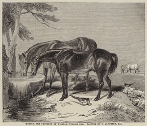 Chevaux, propriété de William Wigram, Esquire