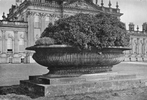 Un vase en pierre