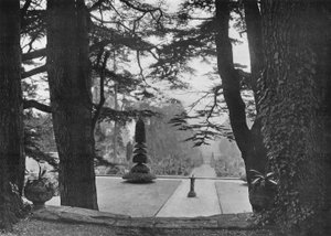 Sous les cèdres - Charles Latham