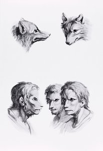 Similarités entre la tête d