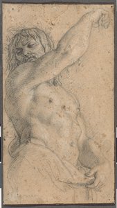 Étudier pour un Herm - Charles Le Brun