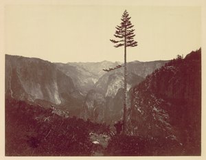 Vallée de Yosemite depuis le sentier de Mariposa, vers 1865