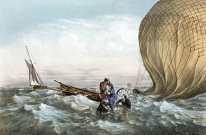 Le bal des Habs - Charles Leduc
