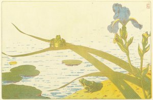 Grenouilles - Charles Louis Houdard