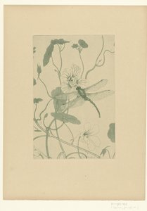 Libellule sur une fleur de capucine - Charles Louis Houdard