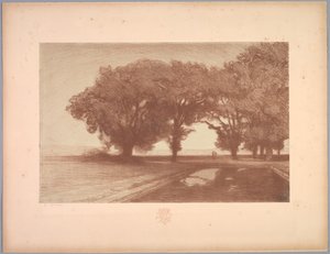 Suite de Paysages: Paysage, Planche 8, Remarque, Pensées - Charles Marie Dulac