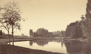 Bois de Boulogne - Charles Marville