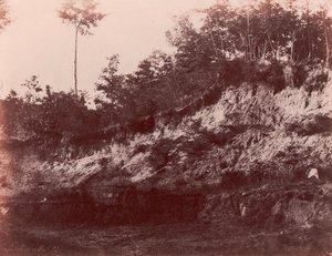 Carrière, 1850-53 - Charles Marville
