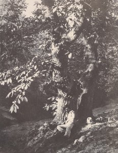 Homme allongé au pied d