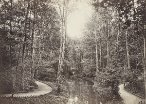 Mare aux biches, Bois de Boulogne - Charles Marville