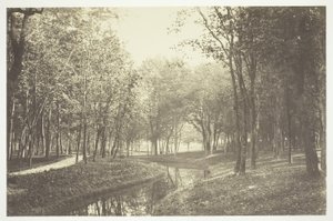 Sans titre - Charles Marville