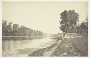 Sans titre, vers 1850 [Arbres près de l