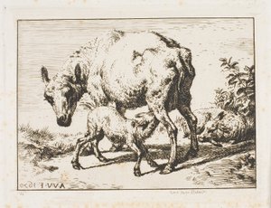 La Brebis avec deux agneaux - Charles Meryon