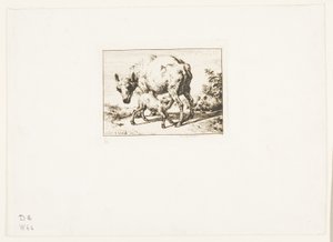 La brebis avec deux agneaux - Charles Meryon