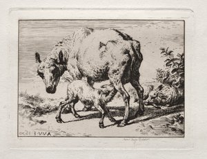 La brebis avec deux agneaux - Charles Meryon