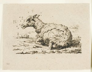 Le Mouton et les Mouches - Charles Meryon