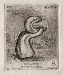 Le cryptogame maladif - Charles Meryon