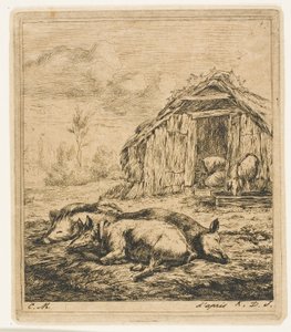 Trois cochons allongés devant un abri - Charles Meryon