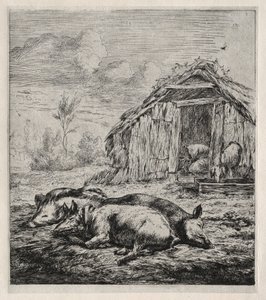 Trois porcs couchés devant une porcherie - Charles Meryon