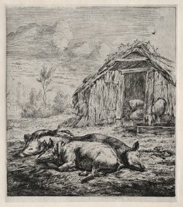 Trois porcs allongés devant une porcherie, 1850 - Charles Meryon