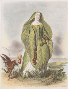 Nénuphar, de Les Fleurs Animées, 1847