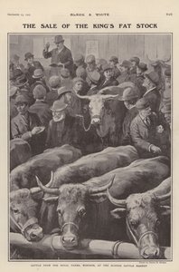 Bétail des fermes royales de Windsor en vente au marché aux bestiaux de Slough, Berkshire - Charles Mills (after) Sheldon