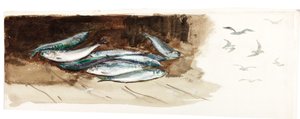 Étude de poissons - Charles Napier Hemy