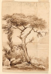 À la côte de la mer Méditerranée - Charles Nicolas Ransonnette