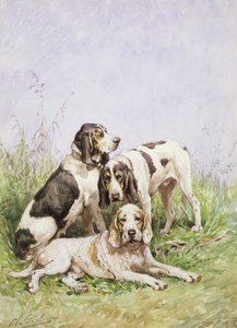 Un groupe de chiens français - Charles Oliver de Penne