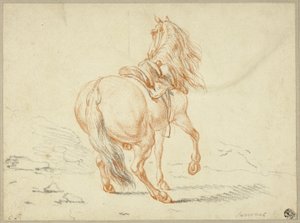 Cheval sans cavalier - Charles Parrocel