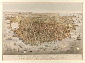 La ville de San Francisco - Oiseau - Charles Parsons