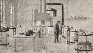 Chiens en cages dans le laboratoire de Louis Pasteur (1822-1895), chimiste et biologiste français, Paris, France, gravure de L