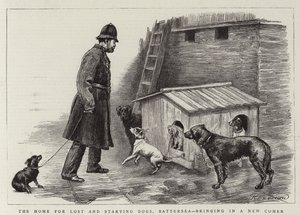 Le foyer pour chiens perdus et affamés, Battersea, amenant un nouveau venu