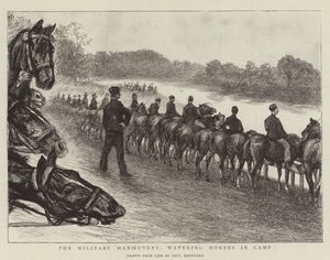 Les manœuvres militaires, abreuver les chevaux au camp