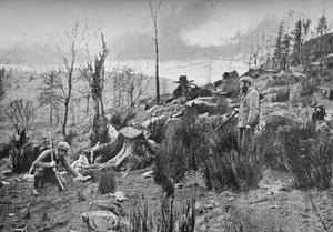 Mettre le furet, vers 1900