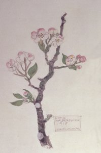Pomme, Walberswick, 1915