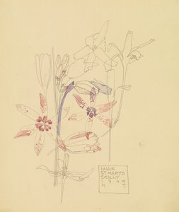 Ixias - Charles Rennie Mackintosh