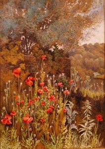 Coquelicots sur une rive - Charles Robertson