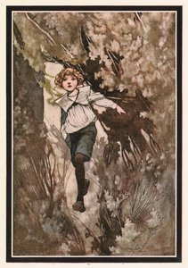 Un garçon a traversé à toute vitesse - Charles Robinson