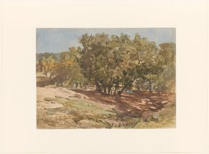 Vue de Beekhuizen, sur le Zijpenberg - Charles Rochussen