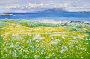 Machair, North End Iona, 2015 (huile sur toile) - Charles Simpson
