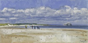 Walkers  Gannets, Bass Rock, 2016 (huile sur toile)