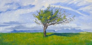 Arbre de la côte ouest, 2015 (huile sur toile)